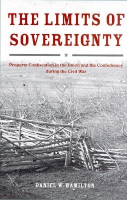 The Limits of Sovereignty - Daniel W. Hamilton