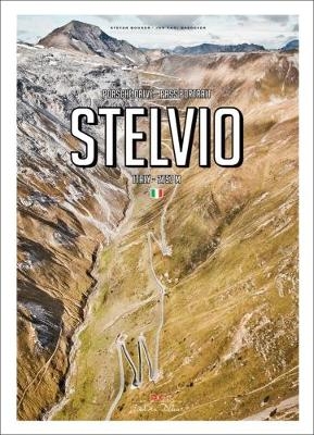 Porsche Drive - Pass Portrait - Stelvio