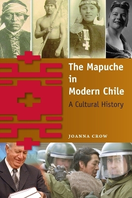 The Mapuche in Modern Chile - Joanna Crow