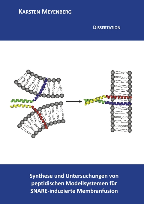 Synthese und Untersuchungen von peptidischen Modellsystemen f&uuml;r SNARE-induzierte Membranfusion - Karsten Meyenberg