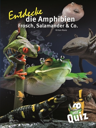 Entdecke die Amphibien