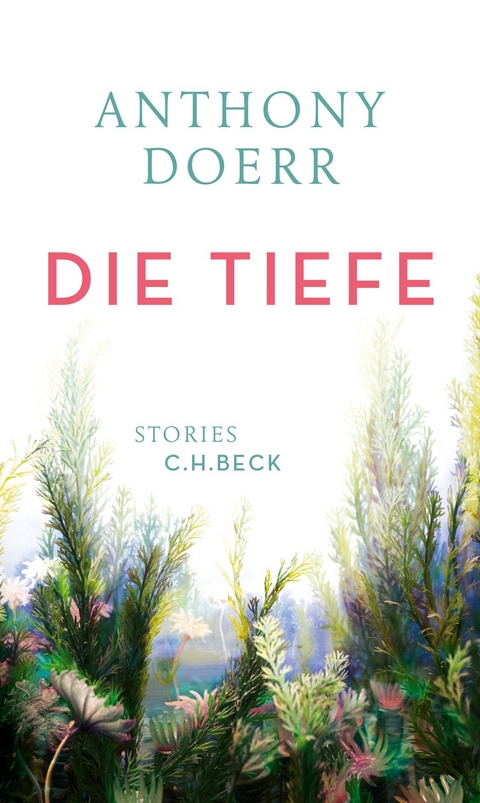 Die Tiefe - Anthony Doerr