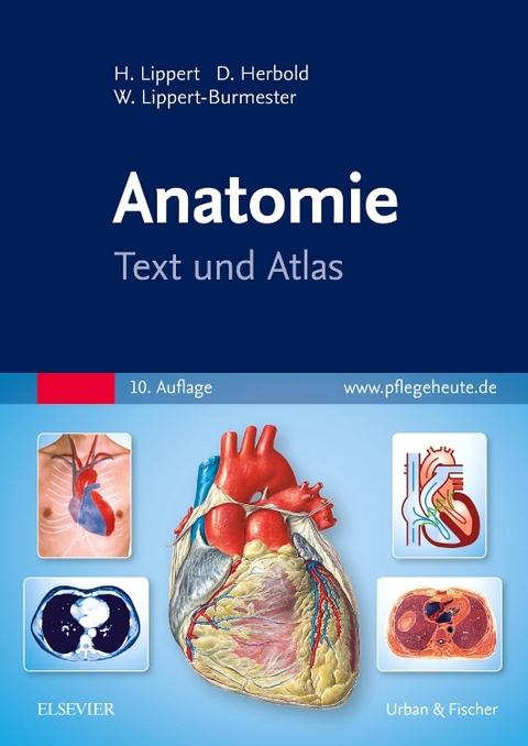 Anatomie - Herbert Lippert, Desiree Herbold, Wunna Lippert-Burmester