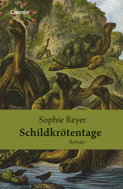 Schildkr&ouml;tentage - Sophie Reyer