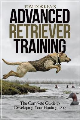 Tom Dokken’s Advanced Retriever Training