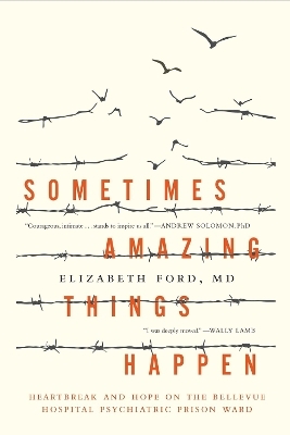 Sometimes Amazing Things Happen - Elizabeth Ford