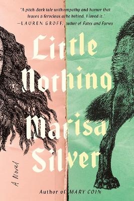 Little Nothing - Marisa Silver