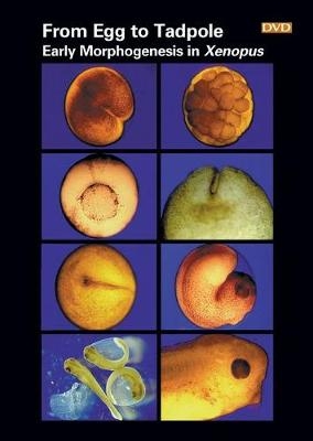 From Egg to Tadpole - Jeremy D Pickett-Heaps