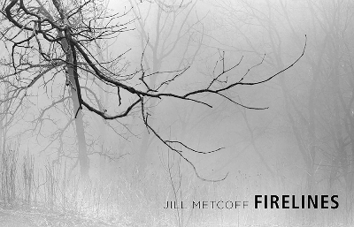 Firelines - Jill Metcoff