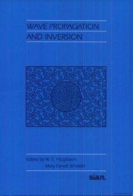 Wave Propagation and Inversion