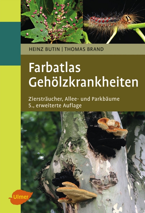 Geh&ouml;lzkrankheiten - Heinz Butin, Thomas Brand