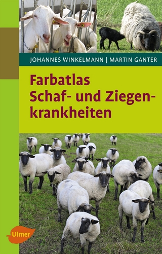 Farbatlas Schaf- und Ziegenkrankheiten - Johannes Winkelmann; Martin Ganter