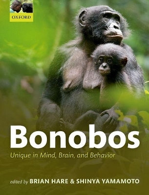 Bonobos - 