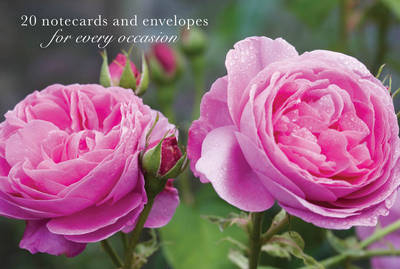 Card Box of 20 Notecards and Envelopes: Pink Rose -  Peony Press