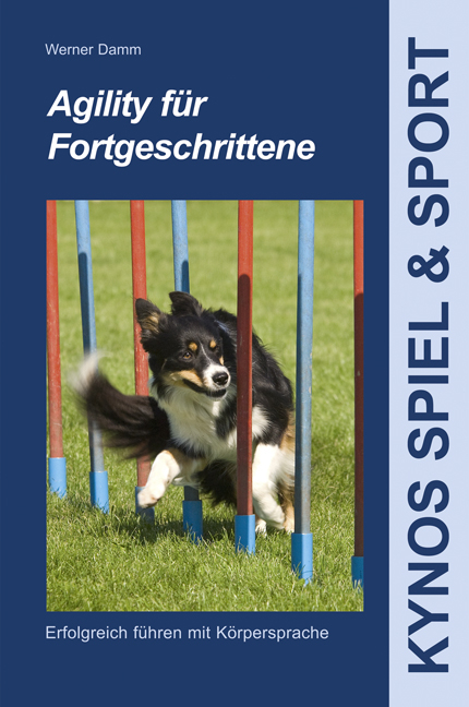Agility f&uuml;r Fortgeschrittene - Werner Damm