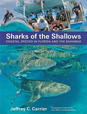 Sharks of the Shallows - Jeffrey C. Carrier