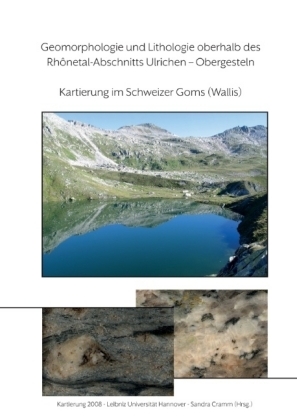 Geomorphologie und Lithologie oberhalb des Rhonetal-Abschnitts Ulrichen - Obergesteln