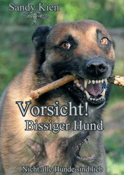 Vorsicht, bissiger Hund! - Sandy Kien