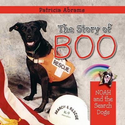 The Story of Boo, A Series of Books - Patricia Abrams