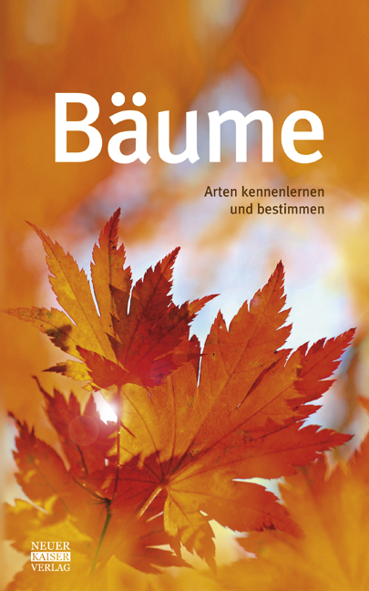 B&auml;ume