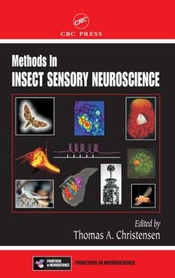 Methods in Insect Sensory Neuroscience - 