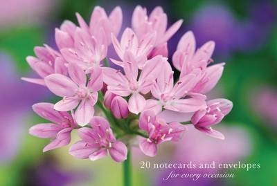 Card Box of 20 Notecards and Envelopes: Allium -  Peony Press
