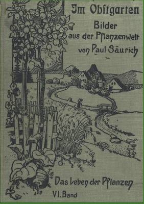 Im Obstgarten - Paul S&auml;urich