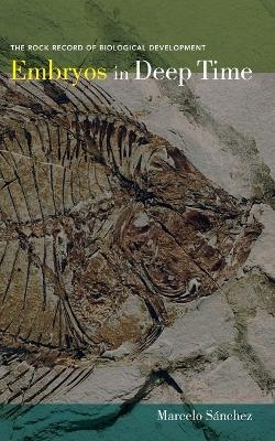 Embryos in Deep Time - Marcelo S&aacute;nchez-Villagra