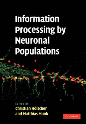 Information Processing by Neuronal Populations - 