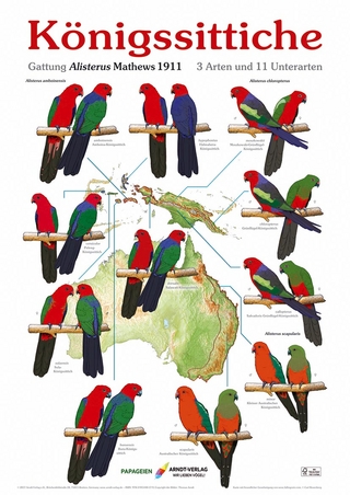 Poster Königssittiche
