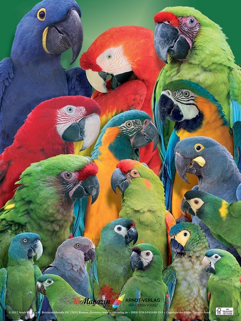 Poster Aras - Thomas Arndt