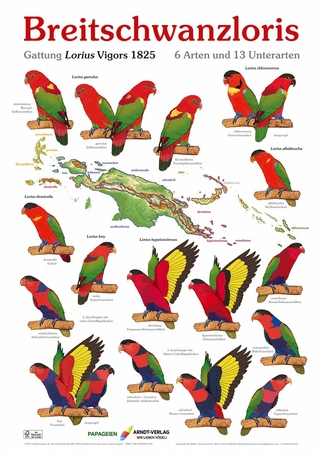 Poster Breitschwanzloris