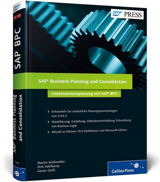 SAP Business Planning and Consolidation