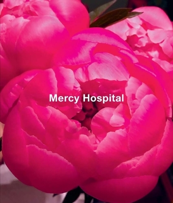 Ida Applebroog: Mercy Hospital - 