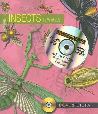 Insects - Alan Weller