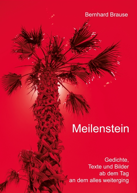 Meilenstein - Bernhard Brause