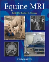 Equine MRI - 