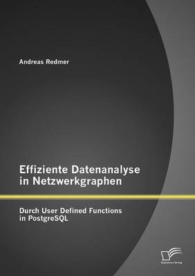Effiziente Datenanalyse in Netzwerkgraphen: Durch User Defined Functions in PostgreSQL