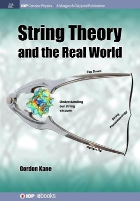 String Theory and the Real World