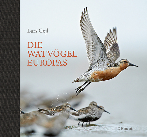 Die Watv&ouml;gel Europas - Lars Gejl