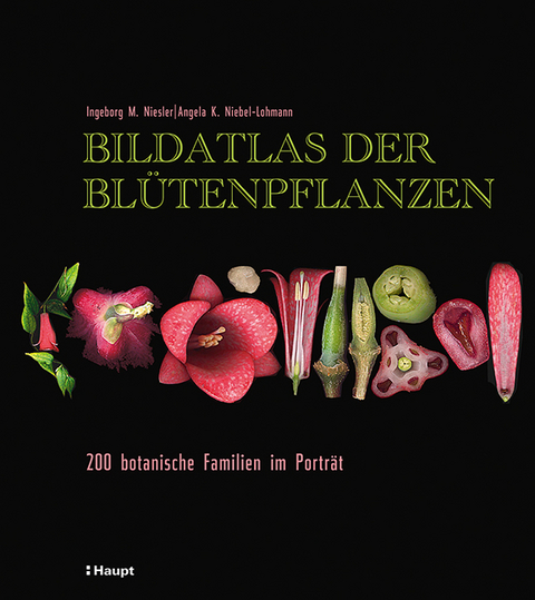 Bildatlas der Bl&uuml;tenpflanzen - Ingeborg M. Niesler, Angela K. Niebel-Lohmann