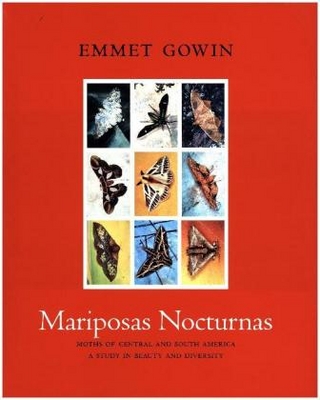 Mariposas Nocturnas