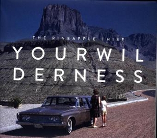 Your Wilderness, 2 Audio-CDs (TourLtd)