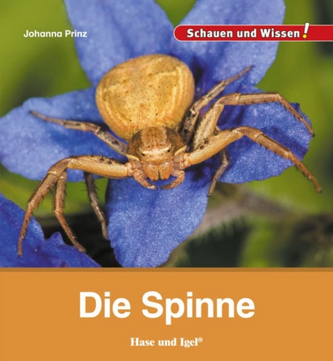 Die Spinne - Johanna Prinz