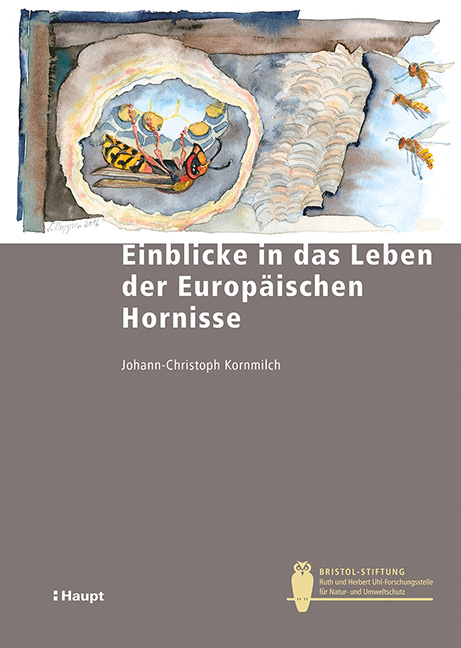Einblicke in das Leben der Europ&auml;ischen Hornisse - Johann-Christoph Kornmilch