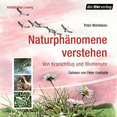 Naturph&auml;nomene verstehen - Peter Wohlleben