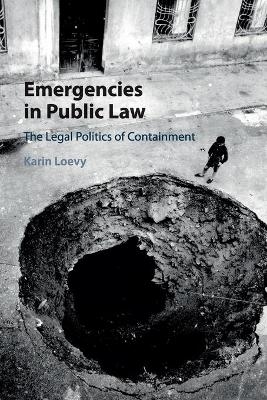 Emergencies in Public Law - Karin Loevy