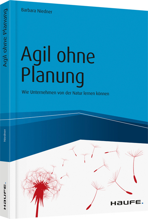 Agil ohne Planung - Barbara Niedner