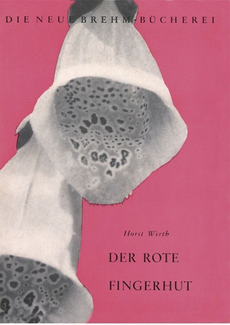 Der Rote Fingerhut - Horst Wirth