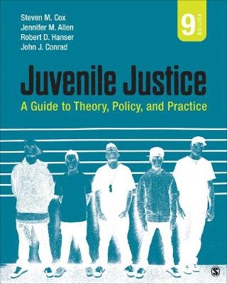 Juvenile Justice - Steven M. Cox, Jennifer M. Allen, Robert D. Hanser